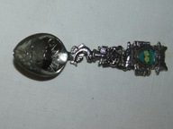 ŁYŻECZKA KOLEKCJONERSKA PANORAMICZNA LANGLEY KANADA