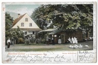 D98 Ustroń Moorbad Ustron Strom Wellenbad Gasthaus Feitzinger 1902 RZADKA !