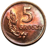 moneta 5 groszy 1949