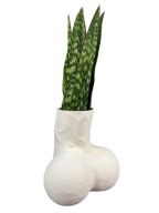 Doniczka Dekoracyjna Ozdobna biała Fallus śmieszny prezent gadżet 18-tka