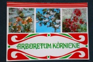 ARBORETUM KÓRNICKIE