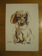 JANUSZ GRABIAŃSKI PIES PIESEK Karnet