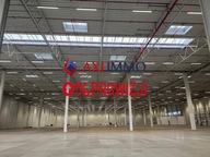 Magazyny i hale, Gliwice, 4700 m²