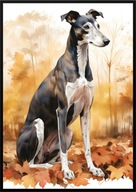 A2 59,4x42 PLAKAT OBRAZ PIES CHART GREYHOUND, JESIEŃ AKWARELA, DO SALONU...