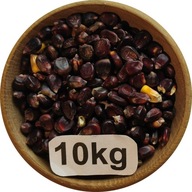 Kukurydza Czarna, Bordo, Drobna, Flint, od Rolnika, 10kg, 2025r