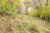 Działka, Żywiec, Żywiecki, 393 m²