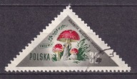 1959 Grzyby polskie Fi 954 Zn.W.III8 gw. Korszeń