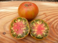 Pomidor Coper River Miedziana Rzeka nasiona kolekcjonerskie