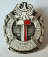 Odznaka - Zasłużony w Rozwoju Województwa Katowickiego - srebrna