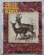 Czasopismo Przekrój 5 lutego 1995 numer 6