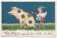 NOWY ROK ŚWINKA I KRASNAL MALARZ KONICZYNA PALETA 1902