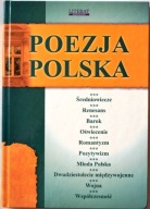 POEZJA POLSKA - Anna Skibicka