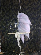 ręcznie robiona papuga