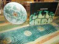 Wackside – Turtle Funk Singiel