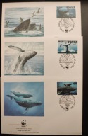 !! ZWIERZĘTA WWF RYBY - TONGA 1996 - 3 KOPERTY FDC - STAN BDB !