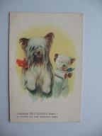 PSY PIES stara POCZTÓWKA lata 40 - te