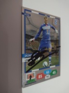 Karta panini autograf Lech Poznań sezon 13/14 Jasmin Burić Ulubieńcy Fanów
