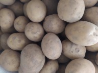 Ziemniaki Paszowe małe duże Przebrane 25kg II Klasa Rolnik