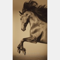 Koń obraz na płótnie 55x100 vintage retro brąz brązowy do salonu pokoju art