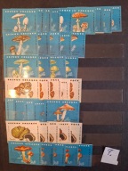 Etykiety zapałczane zestaw 7