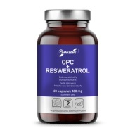 Panaseus OPC + RESWERATROL 50 kapsułek Pestki Winogron