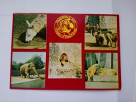 ZOO w Warszawie - lama, pawian, słoń, niedźwiedź - pocztówka z 1979 r