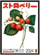 Plakat „Botanical Vintage” – Retro Plakat Roślin i Owoców