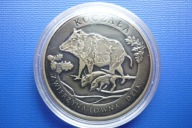 DZIK -15 K. - ZWIERZYNA ŁOWNA wersja limitowana mosiądz patynowany odwrotka