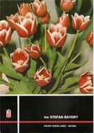 TSS STEFAN BATORY -Przepłynięcie równika -formularz -1987 rok niewypełniony