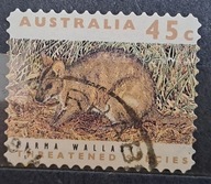 Australia luzak kas - 22/3 ssaki