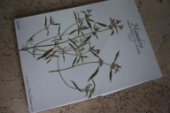 SODAHL ściereczka FLORA DANICA DENMARK NOWA LEN serwetka danish design