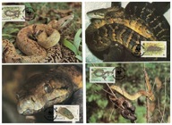 9-GH33-Jamajka-WWF,2011, Ptaki egzotyczne