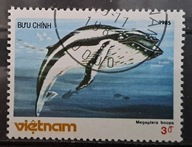 Ryby (kas) - luzak - do uzupełnień 13/6