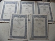 1934 BANK POLSKI 100 ZŁ AKCJA ZESTAW