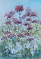Akwarela Sabina Salamon 25x35 łąka kwiaty