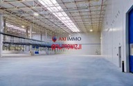 Magazyny i hale, Nowa Sól, Nowosolski, 15000 m²