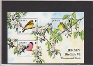 Ptaki, Jersey, blok czysty