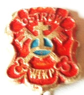 Odznaka - Herb Ostrów Wlkp