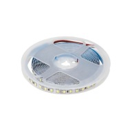 Taśma LED 2835 48 W 12 V 5 m biały zimny