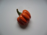 BROSZKA DYNIA EMALIA KRYSZTAŁKI