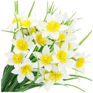 SZTUCZNE KWIATY WIOSENNE ŻONKILE BUKIET ŻONKILI TRAWA WIELKANOC 38CM STROIK