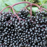 Bez czarny 'Haidegg 17',2L