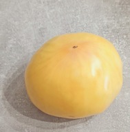 Pomidor Big White Pink Stripe (180) nasiona kolekcjonerskie