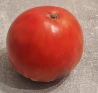 Pomidor Waszyngton (121) nasiona kolekcjonerskie