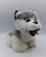 Haski piesek maskotka - pies - sieczna oczka - 25cm - kolekcjonerski