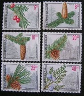 Bułgaria - Mi 4208/13 - Owoce drzew iglastych