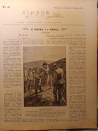 Ziarno 1905 Siewierz