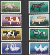 POLSKA - ZWIERZĘTA I PTACTWO HODOWLANE - 1975 - CZYSTE **