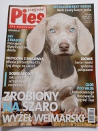 Przyjaciel Pies nr 3 2014 Australian Silky Terrier czasopismo
