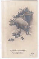 NOWY ROK ŚWINKA Z PROSIACZKIEM CHLEWIK W ŚNIEGU 1926